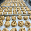 Load image into Gallery viewer, Freeze Dried Peanut Butter Chip Cookie Dough