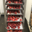 Load image into Gallery viewer, Freeze Dried Strawberry Shortcake Combo