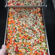 Load image into Gallery viewer, Freeze Dried Israeli Couscous, Red Quinoa and Vegetables