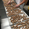 Load image into Gallery viewer, Freeze Dried Italian Style Cooked Beef Meatballs