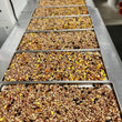 Load image into Gallery viewer, Freeze Dried Exotic Grains and Fire Roasted Vegetables