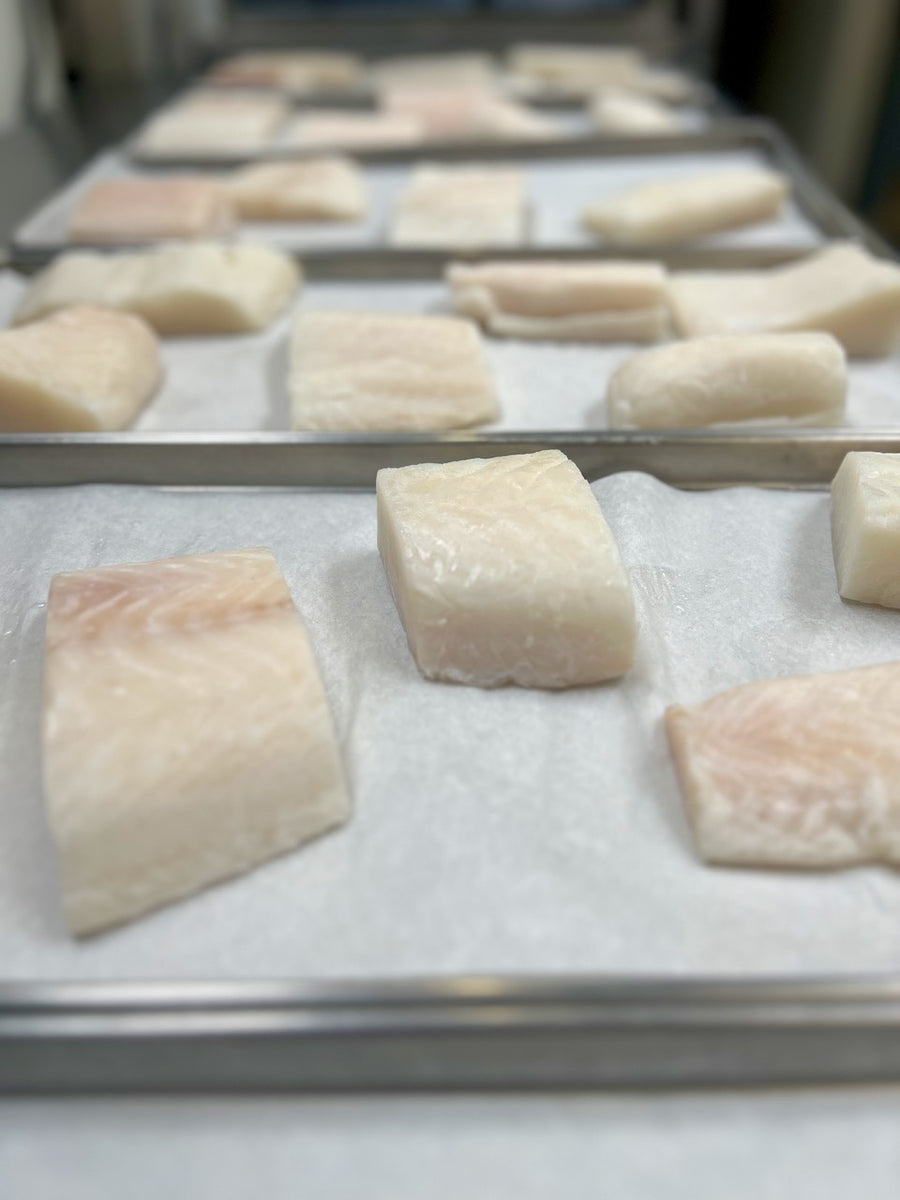 Pre-Sale Freeze Dried Wild Caught Uncooked Chilean Sea Bass