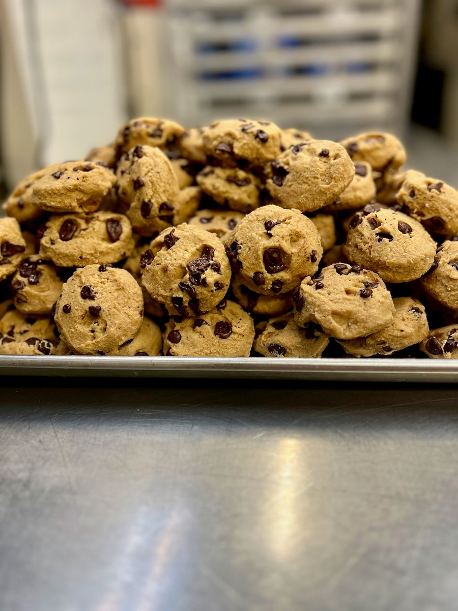 Freeze Dried Chocolate Chip Cookie Dough