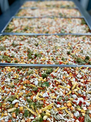 Freeze Dried Multi-Grain Orzo, Red Quinoa and Vegetable Blend