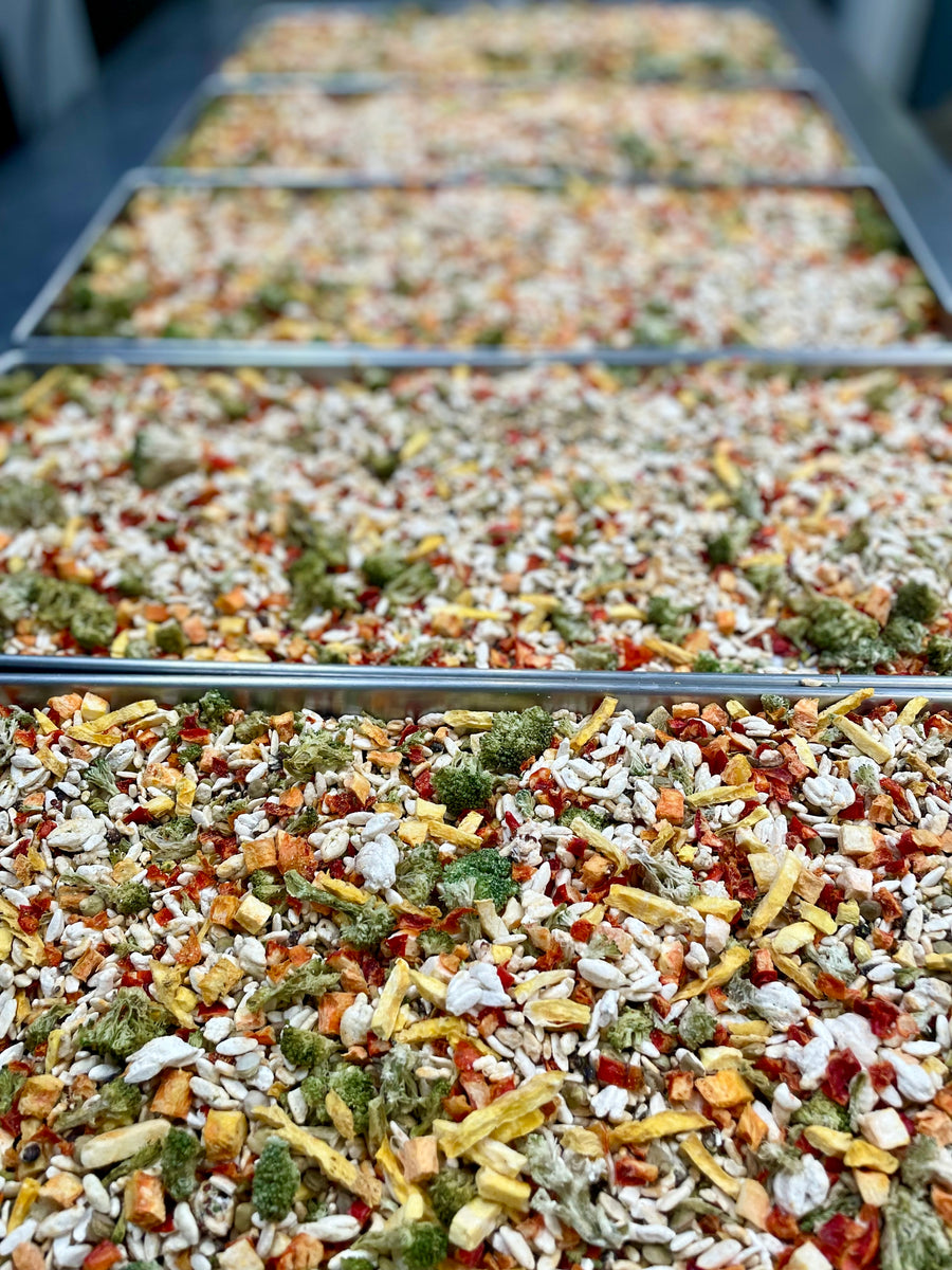 Freeze Dried Multi-Grain Orzo, Red Quinoa and Vegetable Blend