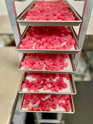 [LIMITED PRODUCTION] Freeze Dried Authentic Sushi Grade Ahi Tuna Poke