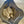 Load image into Gallery viewer, [LIMITED PRODUCTION] Freeze Dried Gourmet Fully Prepared Chicken and Vegetable Potstickers
