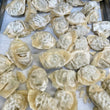 Load image into Gallery viewer, [LIMITED PRODUCTION] Freeze Dried Gourmet Fully Prepared Chicken and Cilantro Wontons
