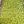 Load image into Gallery viewer, Freeze Dried Fully Cooked Shelled Edamame

