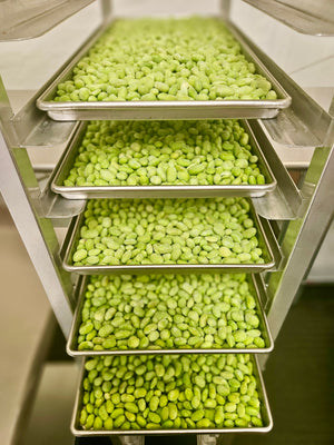 Freeze Dried Fully Cooked Shelled Edamame