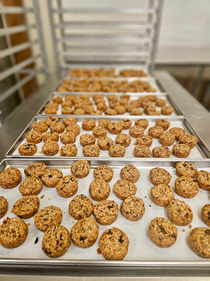 Freeze Dried Fully Cooked Organic “Aussie Bites” - Baked Multi-Grain Muffins