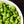 Load image into Gallery viewer, Freeze Dried Fully Cooked Shelled Edamame
