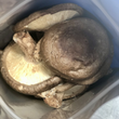 Load image into Gallery viewer, Freeze Dried Whole Shiitake Mushrooms
