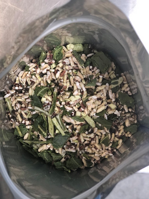 Freeze Dried Ancient Grains and Kale