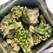 Load image into Gallery viewer, Freeze Dried Broccoli Florets
