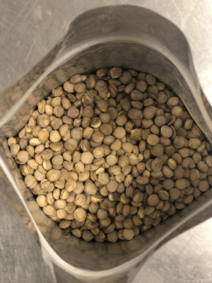 Freeze Dried Fully Cooked Green Lentils