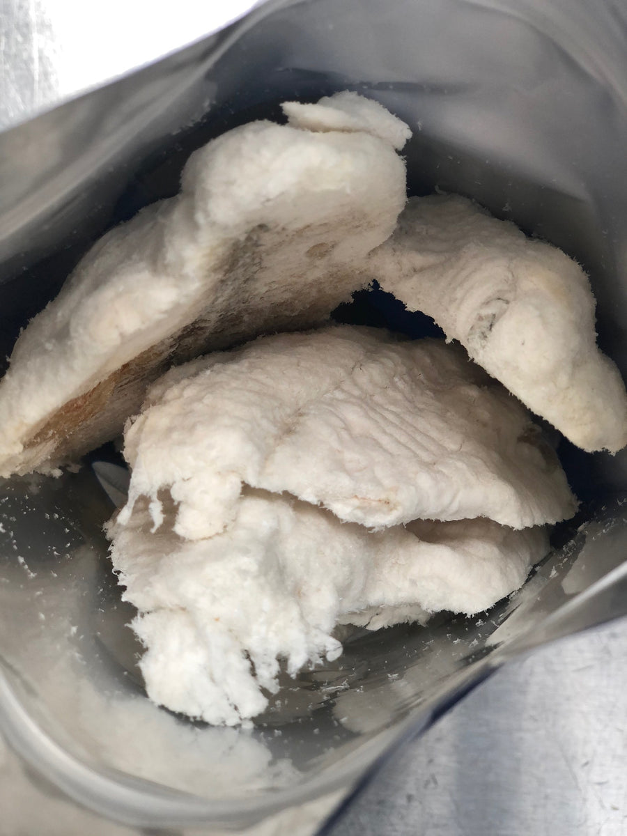 Freeze Dried Catfish Fillets – Freeze Dry Wholesalers