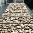 Load image into Gallery viewer, Freeze Dried Sliced Crimini Mushrooms
