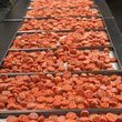 Load image into Gallery viewer, Freeze Dried Sliced Carrots
