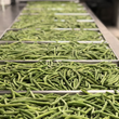 Load image into Gallery viewer, Freeze Dried String Beans
