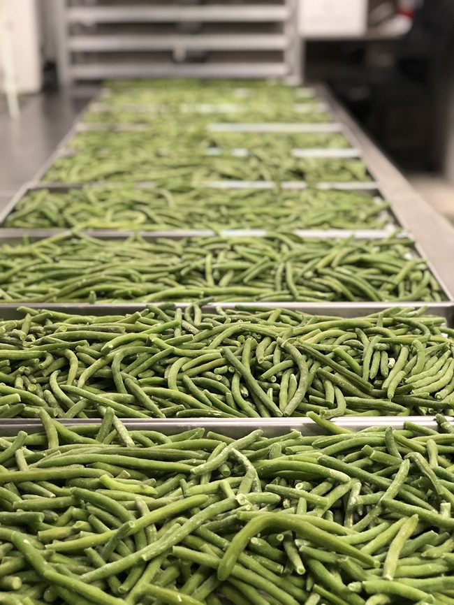 Freeze Dried String Beans