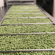 Load image into Gallery viewer, Freeze Dried Green Peas
