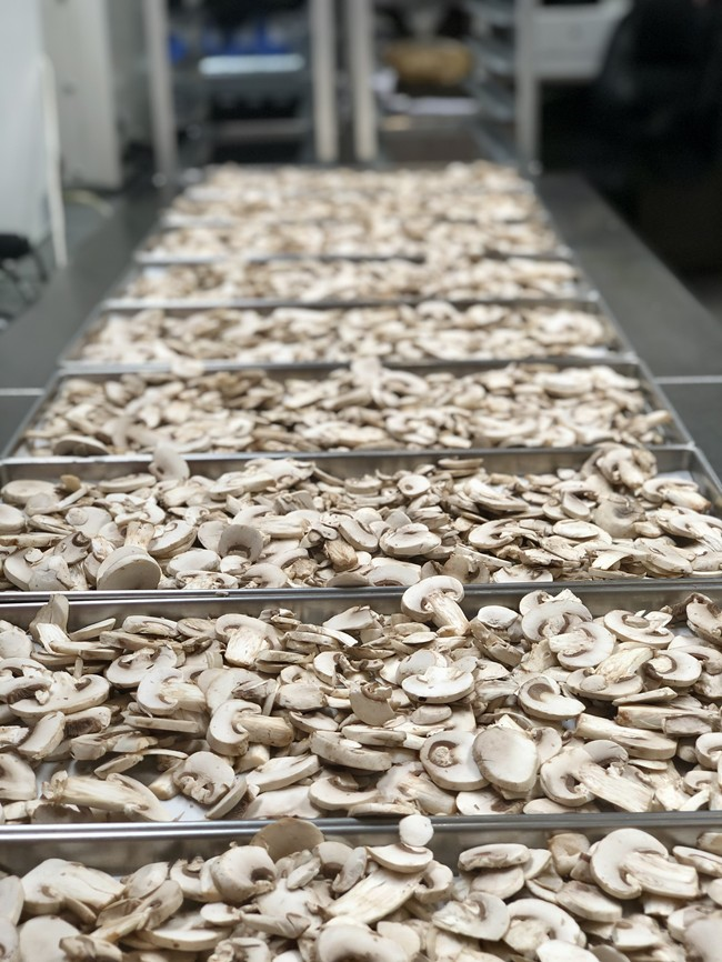 Freeze Dried Sliced White Mushrooms