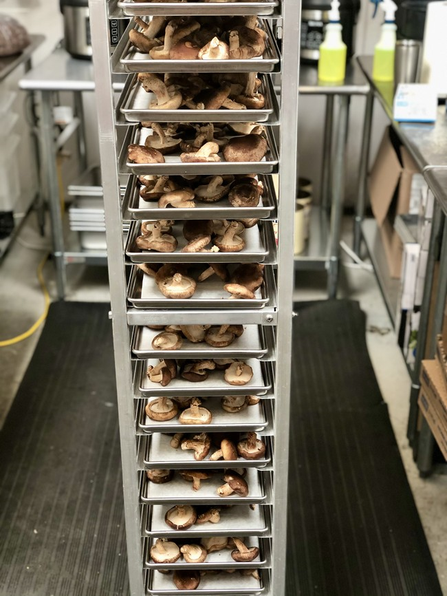 Freeze Dried Whole Shiitake Mushrooms