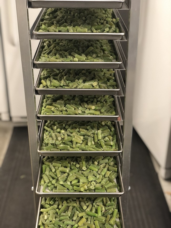 Freeze Dried Cut Green Beans