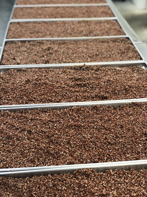 Freeze Dried Organic Red Quinoa