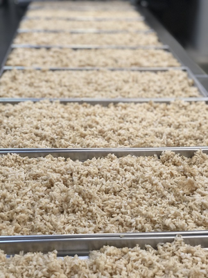 Freeze Dried Long Grain Brown Rice