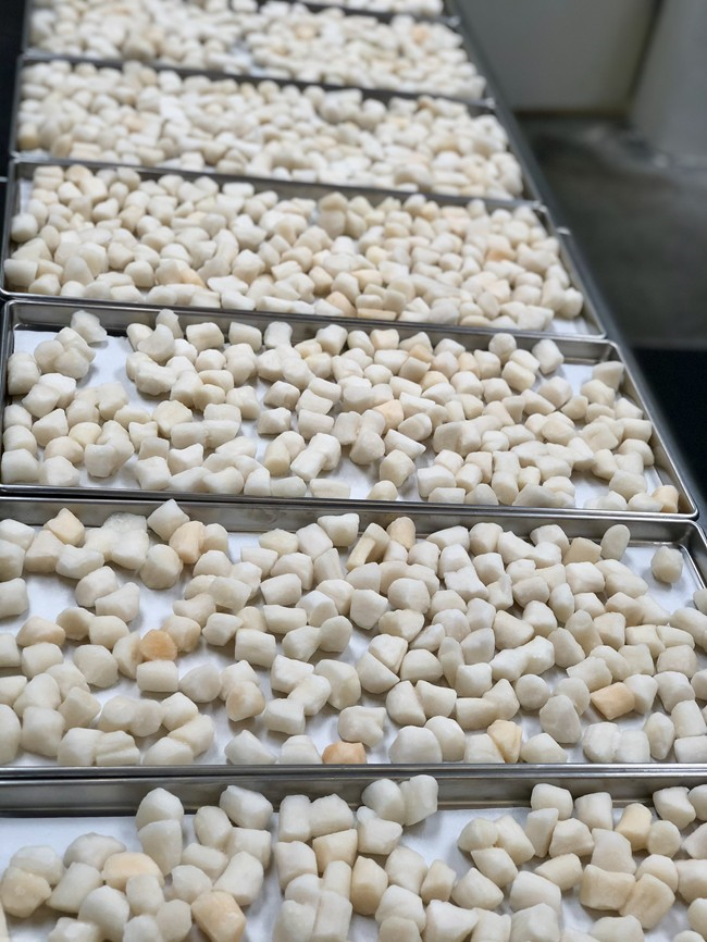 Freeze Dried Scallops Freeze Dry Wholesalers