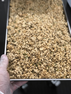 Freeze Dried Pumpkin Seed and Flax Granola