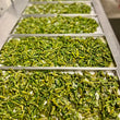 Load image into Gallery viewer, Freeze Dried Asparagus
