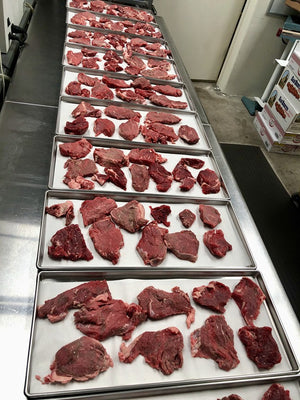 Freeze Dried Uncooked Filet Mignon Steaks