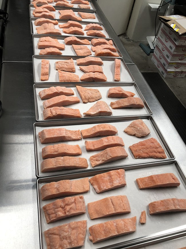 Freeze Dried Uncooked Wild Caught US Salmon Filets