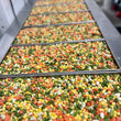Load image into Gallery viewer, Freeze Dried Classic Mixed Vegetables

