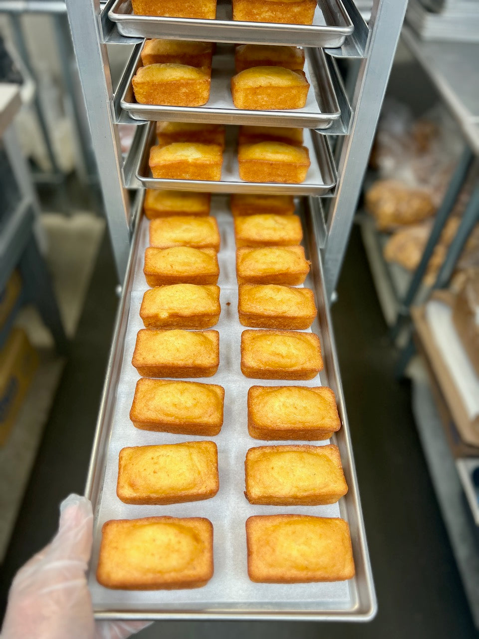 Cornbread Innovation Items Freeze Dried Mini Cornbread Loaves – Freeze Dry Wholesalers