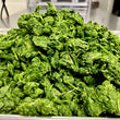Load image into Gallery viewer, Freeze Dried Cut Leaf Spinach
