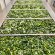 Load image into Gallery viewer, Freeze Dried Cut Leaf Spinach
