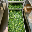 Load image into Gallery viewer, Freeze Dried Cut Leaf Spinach
