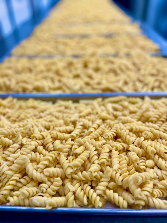 Freeze Dried Fully Cooked Rotini Pasta Freeze Dry Wholesalers