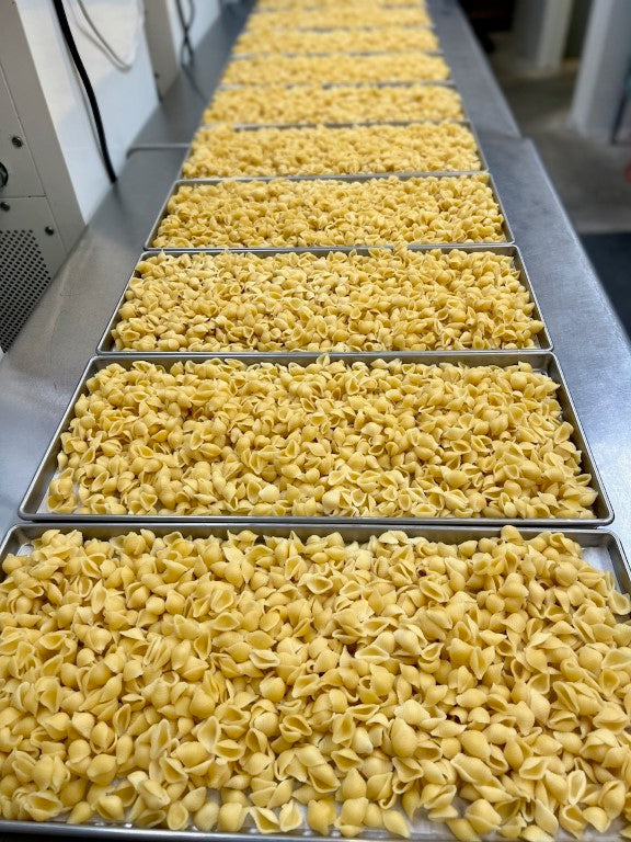 Freeze Dried Fully Cooked Pasta Shells