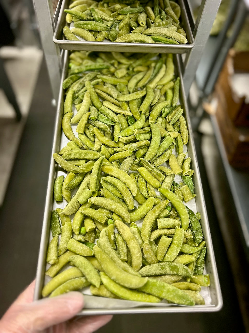 Freeze Dried Sugar Snap Peas Freeze Dry Wholesalers