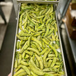 Load image into Gallery viewer, Freeze Dried Sugar Snap Peas
