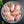 Load image into Gallery viewer, Freeze Dried Diced Chicken Thighs
