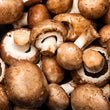 Load image into Gallery viewer, Freeze Dried Sliced Crimini Mushrooms
