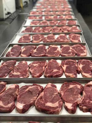 PRE-SALE Freeze Dried Black Angus USDA Prime Uncooked Whole Rib Eye Steaks